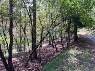 Lt 2486 Novena Court Ellijay GA 30540
