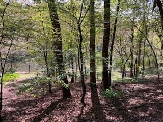Lt 2486 Novena Court Ellijay GA 30540