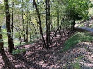 Lt 2486 Novena Court Ellijay GA 30540