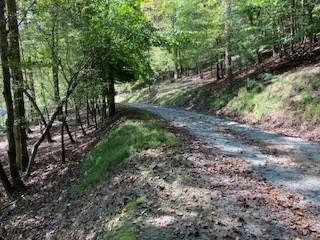 Lt 2486 Novena Court Ellijay GA 30540
