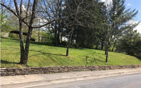 742 E 2nd Street Blue Ridge GA 30513