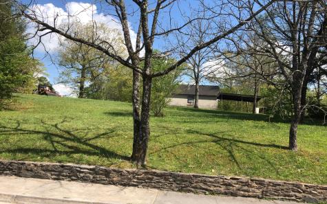 742 E 2nd Street Blue Ridge GA 30513