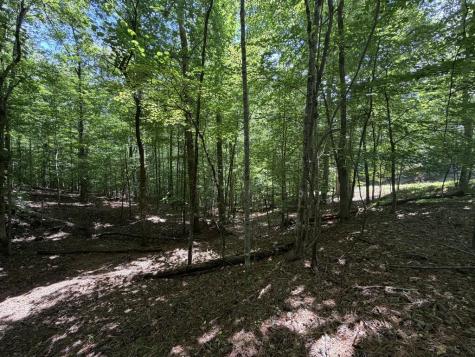 204 Guidon Ellijay GA 30540