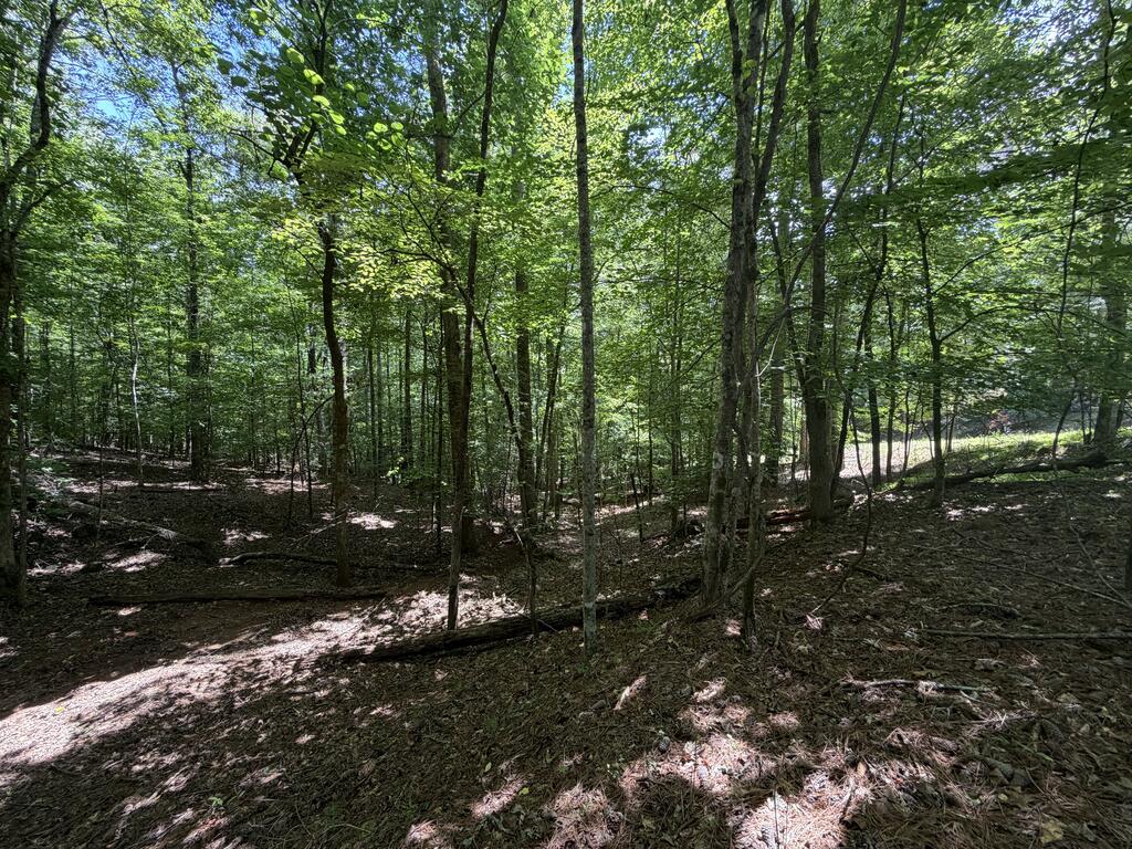 204 Guidon Ellijay GA 30540
