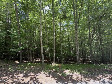 204 Guidon Ellijay GA 30540
