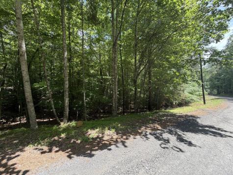204 Guidon Ellijay GA 30540