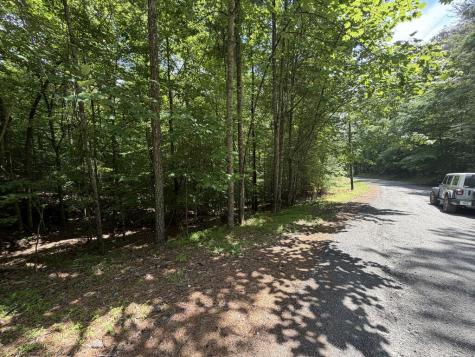204 Guidon Ellijay GA 30540