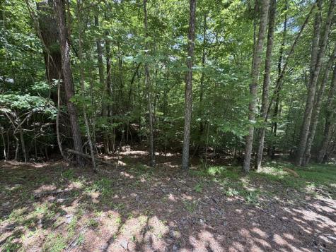 204 Guidon Ellijay GA 30540