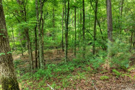 00 Scots Glen Road Mineral Bluff GA 30559
