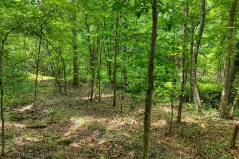 00 Scots Glen Road Mineral Bluff GA 30559