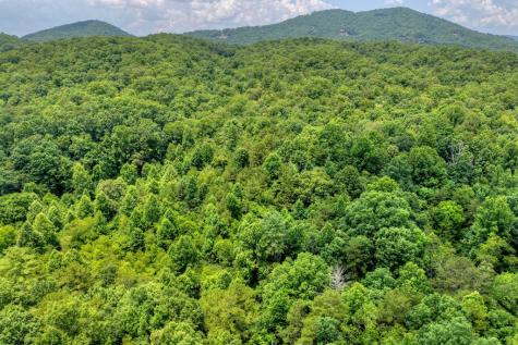 00 Scots Glen Road Mineral Bluff GA 30559