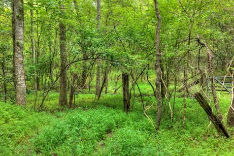 00 Scots Glen Road Mineral Bluff GA 30559