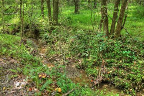 00 Scots Glen Road Mineral Bluff GA 30559