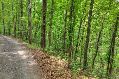 00 Scots Glen Road Mineral Bluff GA 30559