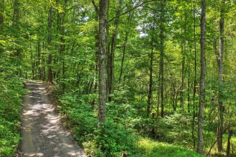 00 Scots Glen Road Mineral Bluff GA 30559