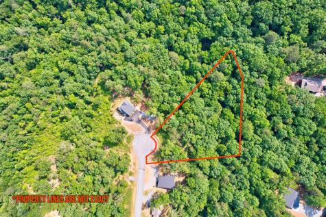 Lot 16 Lake Top Lane Ellijay GA 30540
