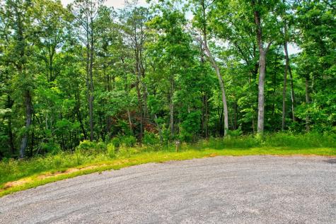 Lot 16 Lake Top Lane Ellijay GA 30540