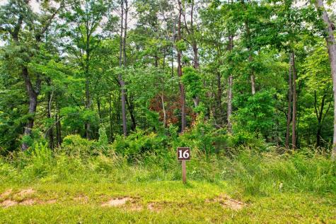 Lot 16 Lake Top Lane Ellijay GA 30540