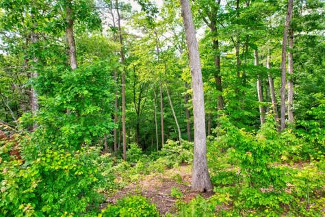 Lot 16 Lake Top Lane Ellijay GA 30540