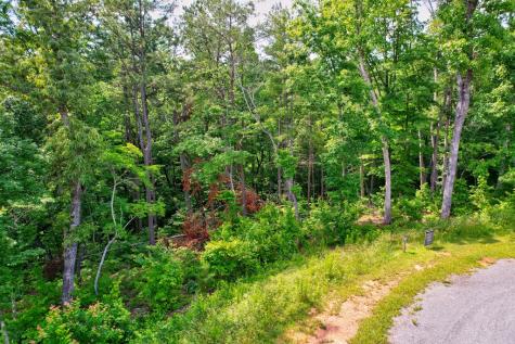 Lot 16 Lake Top Lane Ellijay GA 30540