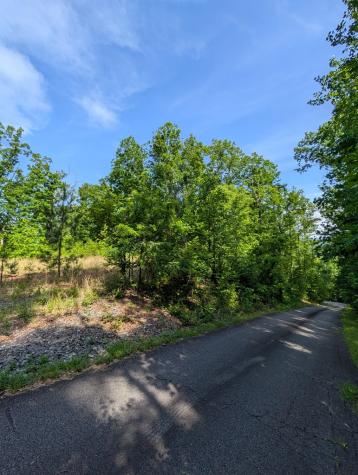 Tr 2 Falcon Overlook Hayesville NC 28904