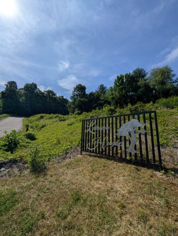 Tr 2 Falcon Overlook Hayesville NC 28904