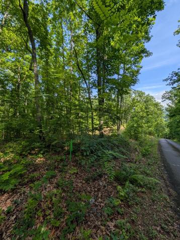 Tr 2 Falcon Overlook Hayesville NC 28904