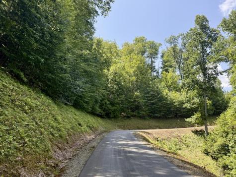 Lot 34 Grand Laurel Brasstown NC 28902