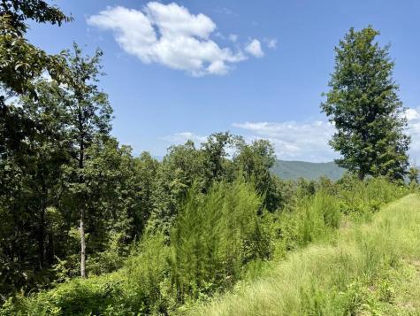 Lot 34 Grand Laurel Brasstown NC 28902
