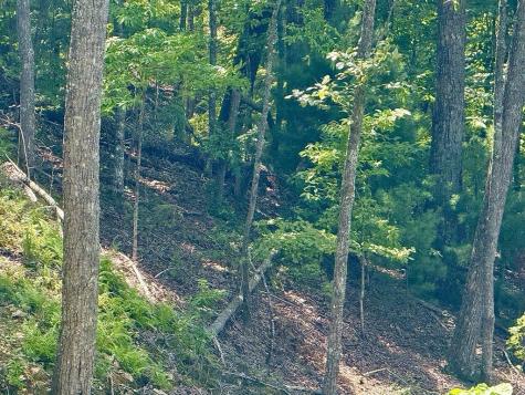 Lot 34 Grand Laurel Brasstown NC 28902