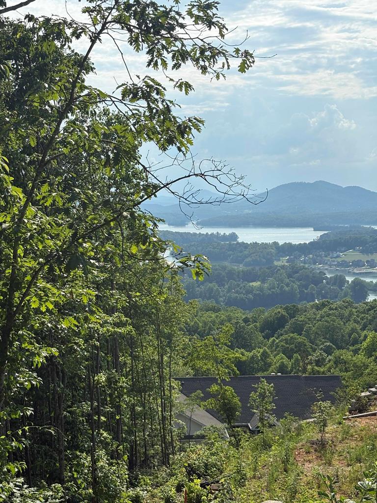 Lot 46 Dan Knob (LOT) Hayesville NC 28904