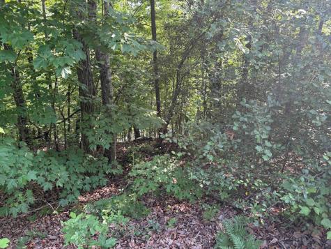 Lot 46 Dan Knob (LOT) Hayesville NC 28904