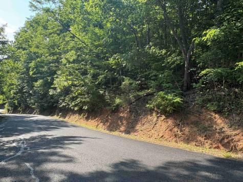Lot 46 Dan Knob (LOT) Hayesville NC 28904