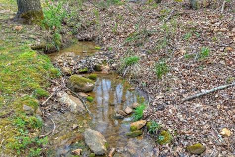Lot 11 Squirrel Hunting Road Morganton GA 30560