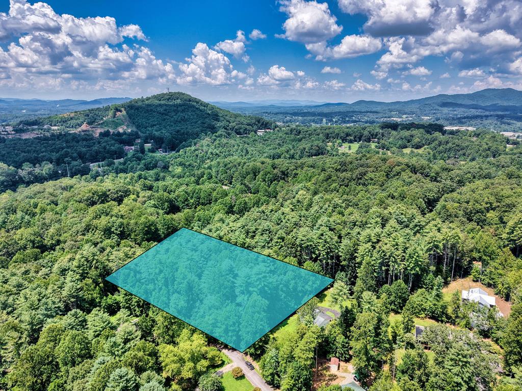 L 10&16 Josie Drive Blairsville GA 30512