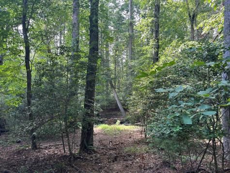 L 10&16 Josie Drive Blairsville GA 30512