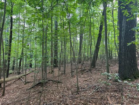 L 10&16 Josie Drive Blairsville GA 30512