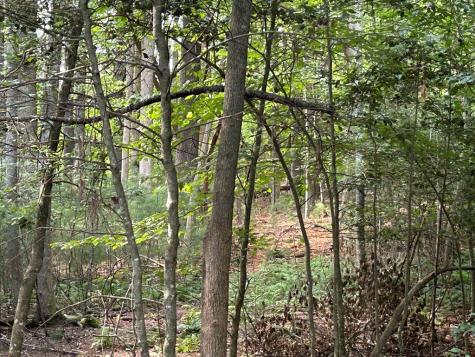 L 10&16 Josie Drive Blairsville GA 30512