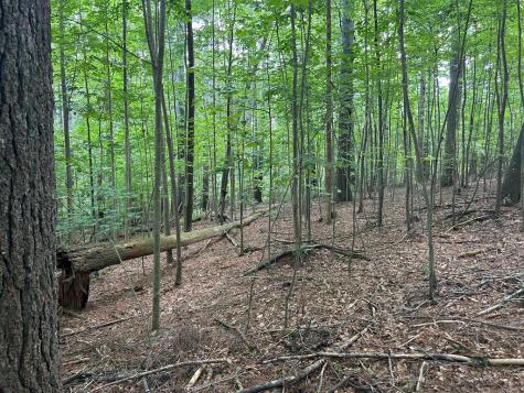 L 10&16 Josie Drive Blairsville GA 30512