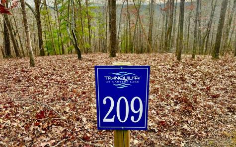 LT209 Harris Ridge Drive Ellijay GA 30540