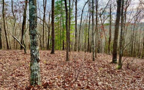 LT209 Harris Ridge Drive Ellijay GA 30540