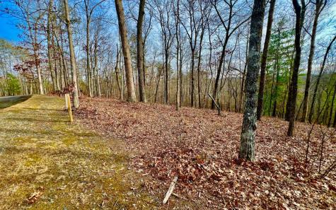 LT209 Harris Ridge Drive Ellijay GA 30540