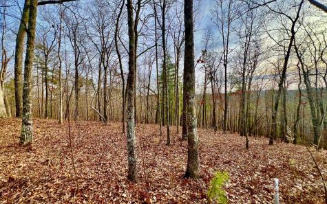 LT209 Harris Ridge Drive Ellijay GA 30540