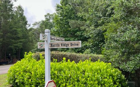 LT209 Harris Ridge Drive Ellijay GA 30540