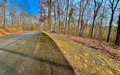 LT209 Harris Ridge Drive Ellijay GA 30540