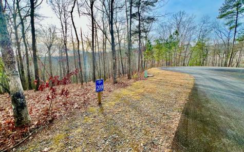 LT209 Harris Ridge Drive Ellijay GA 30540