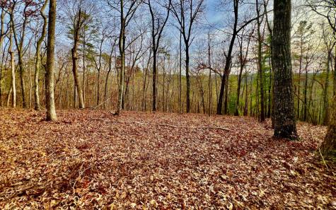 LT209 Harris Ridge Drive Ellijay GA 30540