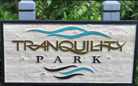 LT209 Harris Ridge Drive Ellijay GA 30540