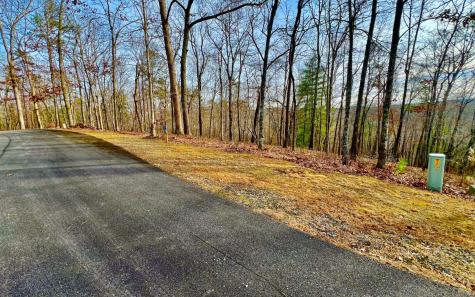 LT209 Harris Ridge Drive Ellijay GA 30540