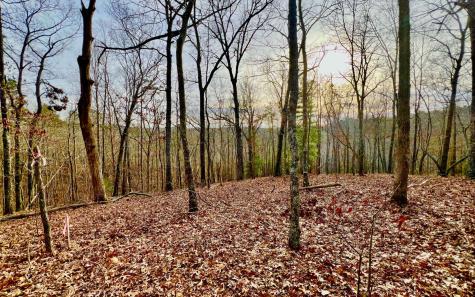 LT209 Harris Ridge Drive Ellijay GA 30540